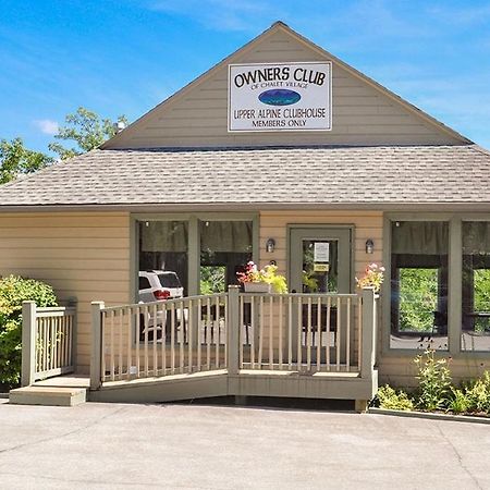 Night Owl Cabin Villa Gatlinburg Esterno foto